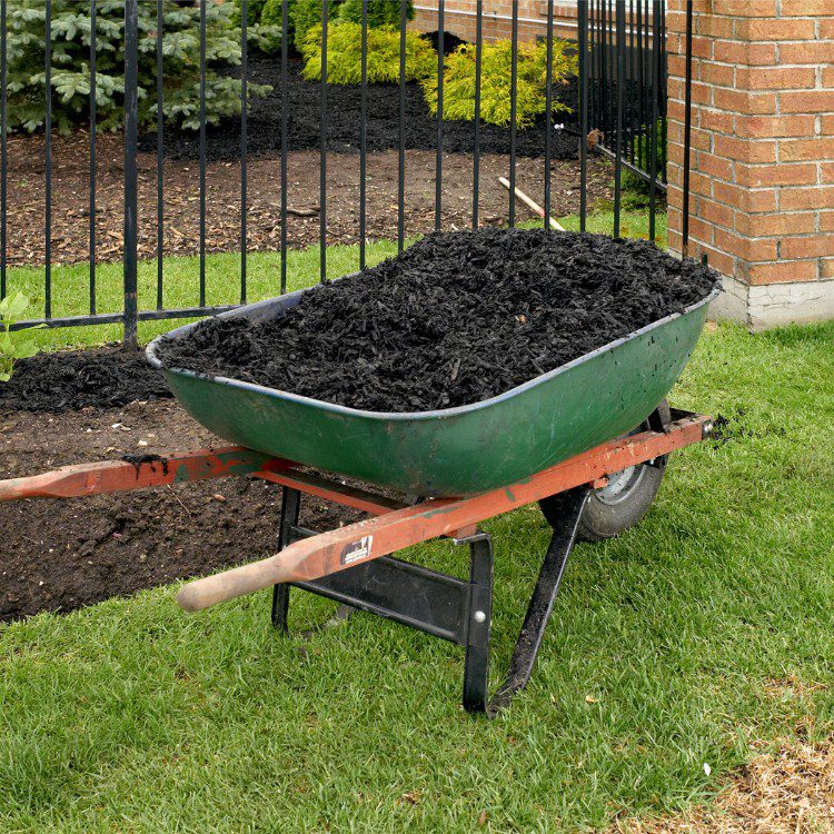 Landscaping in Leavenworth, KS Landscaping in Leavenworth, KS