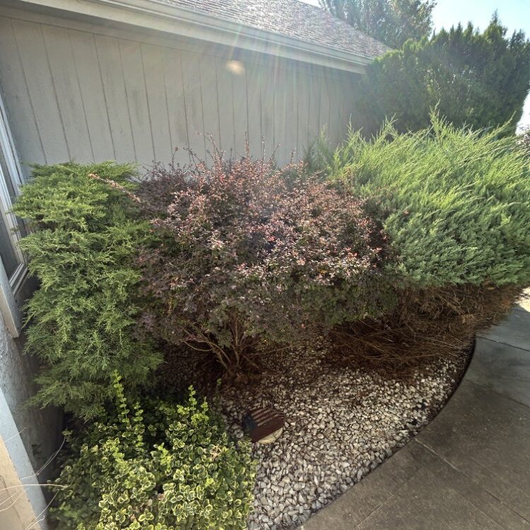 Landscaping in Leavenworth, KS